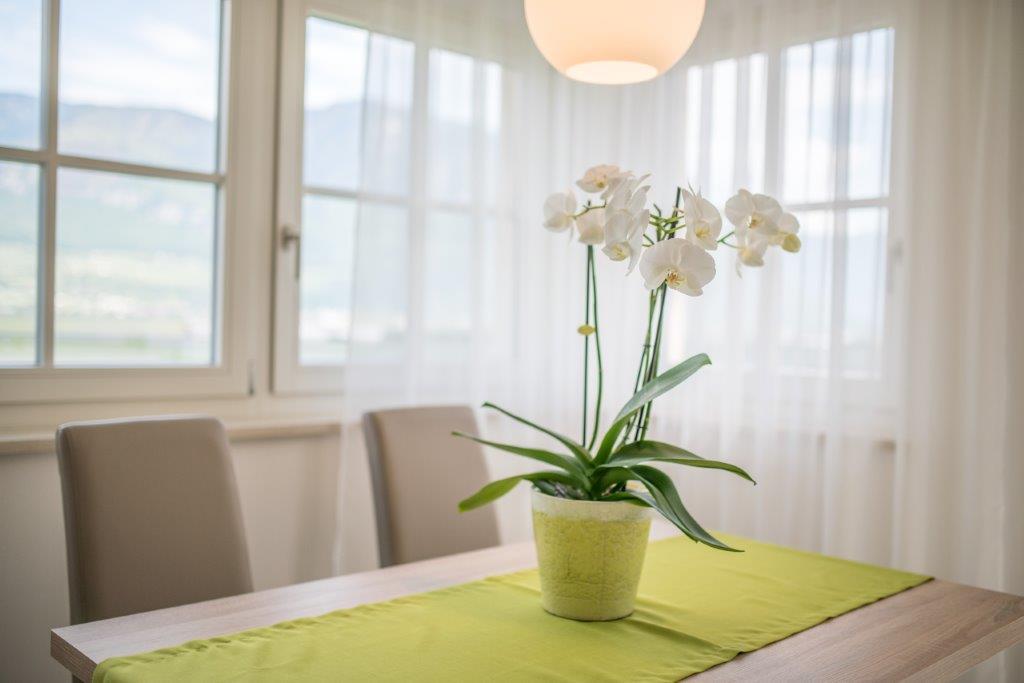 Gutshof Rellich Villa Tramin an der Weinstraße Buitenkant foto